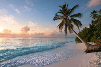 Tranquil Tropical Beach at Sunset