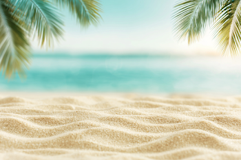 Tranquil Tropical Beach Sand with Palm Fronds