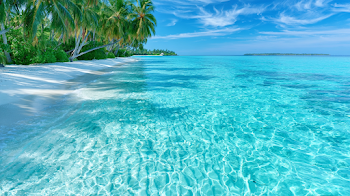 Tranquil Tropical Paradise Beach