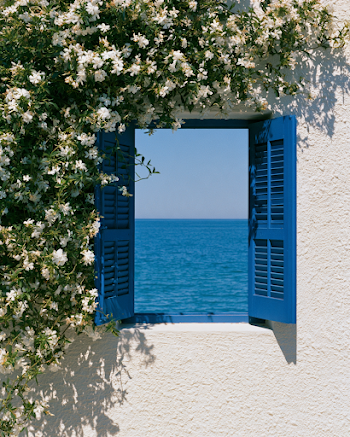 Tranquil View Through Blue Shutters