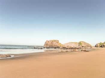 Tranquil Waters &amp; Beach Free Photo 