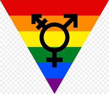 Transgender flags Rainbow flag Lack of gender identities - youth 