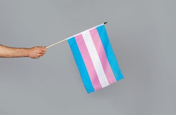 Transgender Pride Flag  In Hand