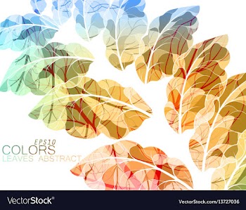 Translucent leaves vector image