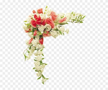 Transparency Flower Border Designs