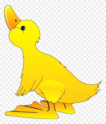 Transparent Background Duck Clipart