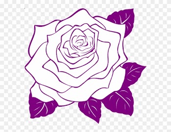 Transparent Background Rose Outline