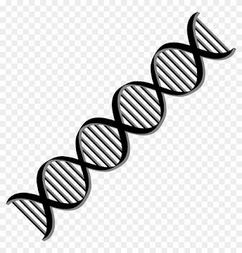 Transparent Black And White Dna Clipart - Dna Helix Black And White