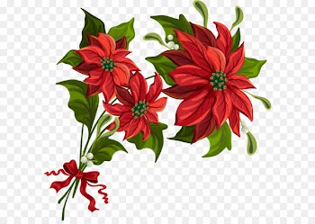 Transparent Christmas PNG Poinsettia Clipart 