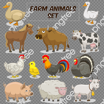 Transparent cows cow sheep pig and chicken duck goat PNG Format ...