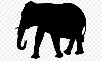Transparent Elephant Indian elephant - Elephant Silhouette PNG Transparent Clip Art Image 