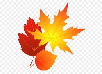 Transparent Fall Leaves Clipart 