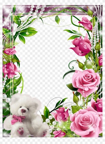 Transparent Frame With Pink Roses And White Teddy - Teddy Frame