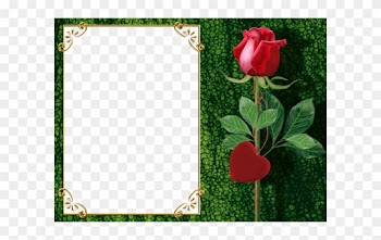 Transparent Green Png Photo Frame With Rose And Heart - Beautiful Frames For Photo Editing Online
