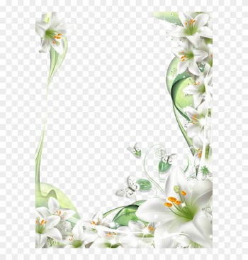 Transparent Png Photo Frame With - White Rose Frame Png