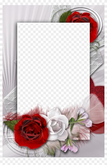 Transparent Romantic Frame With White And Red Rose - Red Rose Frame Transparent