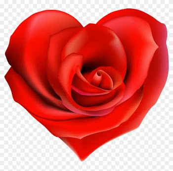 Transparent Rose Hearts Decor Png Clipart - Rose Heart