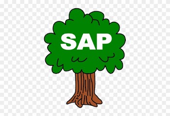 Transparent Sap Logo “ - Tree Sap Cartoon