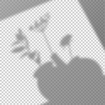 Transparent shadows overlay effect Free Vector