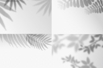 Transparent shadows overlay effect Free Vector