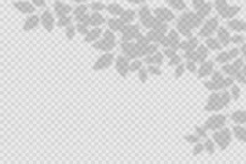 Transparent shadows overlay effect Free Vector