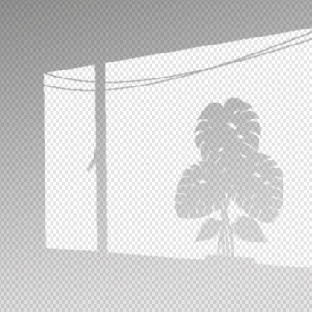 Transparent shadows overlay effect with monstera leaves Free Vector