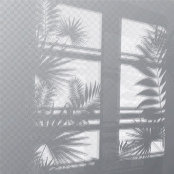 Transparent shadows overlay effect with plants and window Free Vector