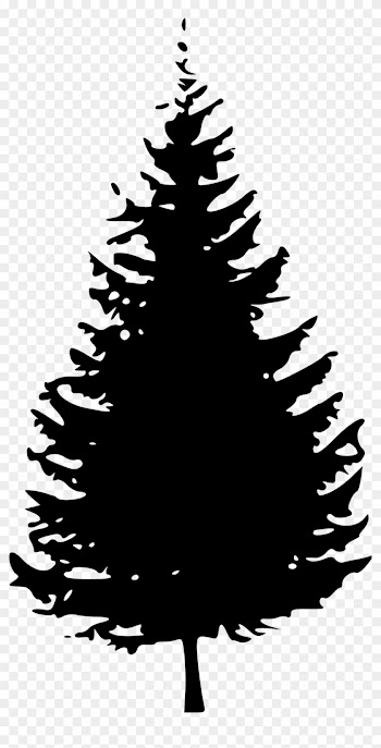 Transparent Tree Cliparts 18, - Pine Tree Clip Art Black And White