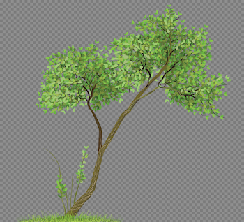 Transparent Tree PNG Clipart | Gallery Yopriceville - High ...