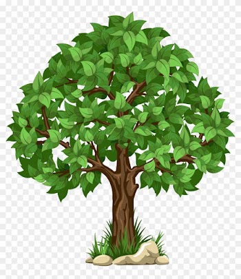 Transparent Tree Png Clipart Picture - Tree Clipart Transparent Background