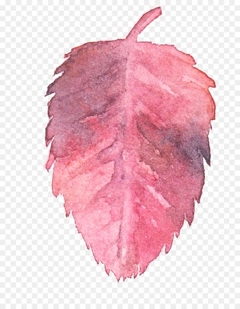 Transparent Watercolor Watercolor: Flowers Watercolor painting Leaf - Pink watercolor leaves 