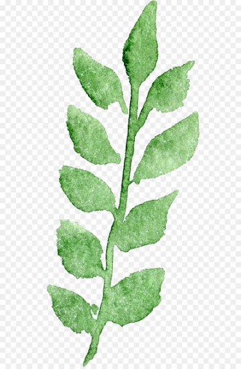 Transparent Watercolor Watercolor painting Transparency and translucency - Transparent background floral botanical watercolor flowers 