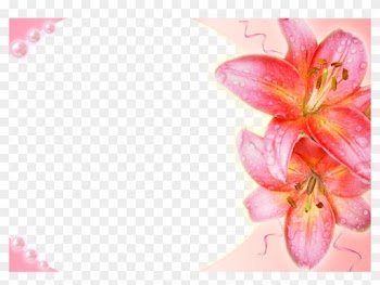 Transparent Wedding Frames Photoshop - Cadres Transparent Avec Fleurs