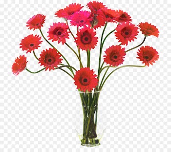 Transvaal Daisy, Chrysanthemum, Floristry, Flower, Flowering Plant PNG