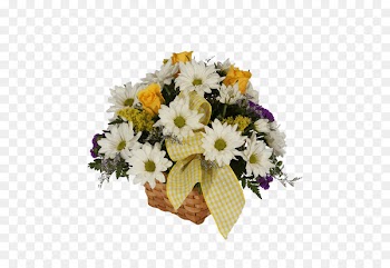 Transvaal daisy Floral design Cut flowers Chrysanthemum Flower bouquet - chrysanthemum 