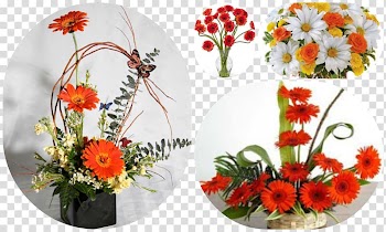 Transvaal daisy Floral design Cut flowers Flower bouquet, flower transparent background PNG clipart