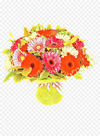 Transvaal Daisy, Floral Design, Cut Flowers, Flower, Bouquet PNG