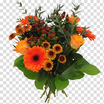 Transvaal daisy Flower bouquet Cut flowers Floral design, flower transparent background PNG clipart