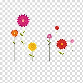 Transvaal daisy Flower Drawing Common daisy Illustration, Tenacious colored sunflowers transparent background PNG clipart