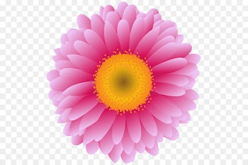 Transvaal daisy Stock photography Vector graphics Royalty-free Flower - pink binoculars 