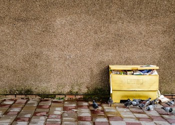 Trash Bin