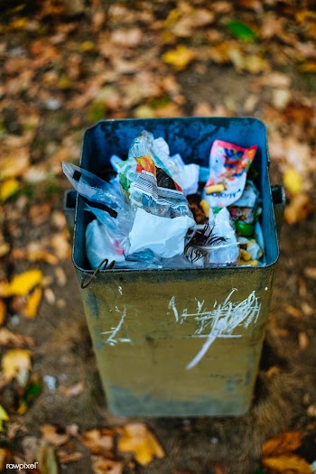 Trash can | Free public domain photo - 564008