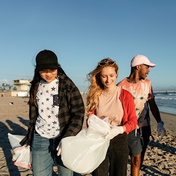 Trash pick up volunteering, group of… | Free stock photo | High Resolution image