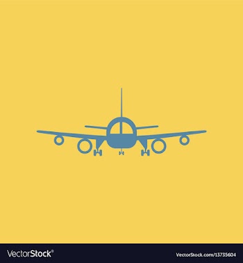 Travel airplane vector image