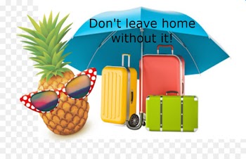 Travel insurance Suitcase Baggage - tempt frame 