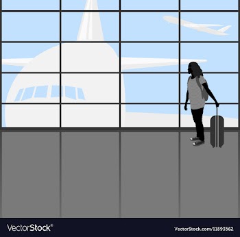 Traveler people vector image