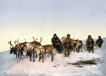 Traveling by reindeer, en:Arkhangelsk, Russia. | Free Photo - rawpixel
