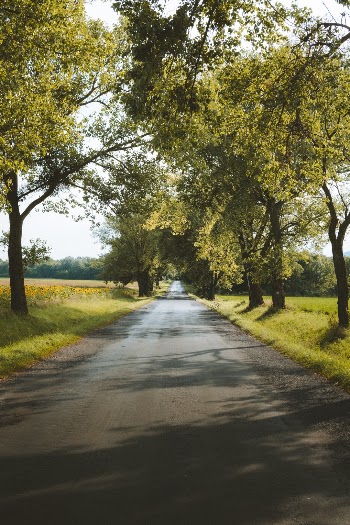 Traveling with family on the country road