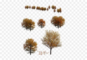 Tree 3D modeling Autumn - Autumn Tree 
