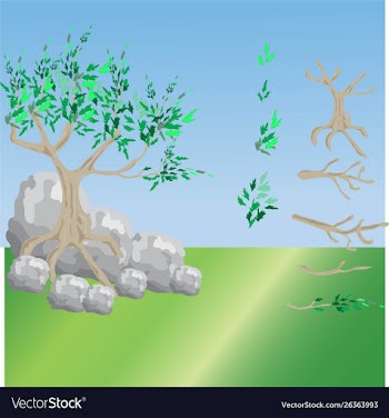 Tree and branches set vector image